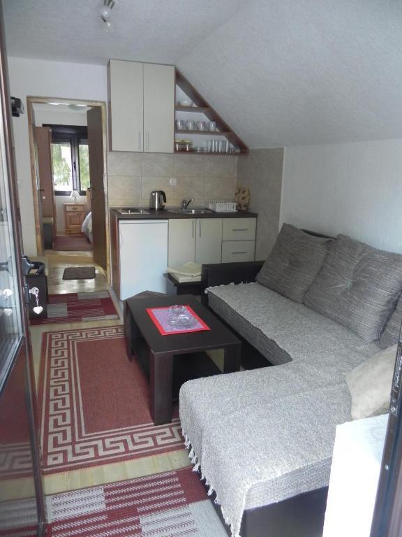 Apartments Vukovic Zabljak  Room photo