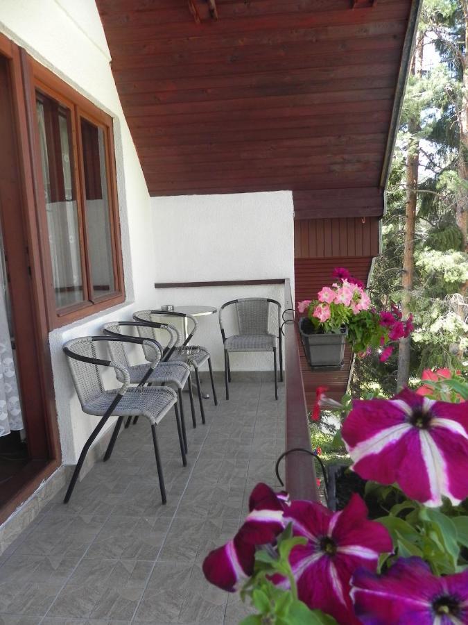 Apartments Vukovic Zabljak  Room photo